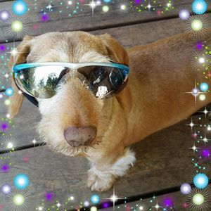 Meet your Posher, Sandra